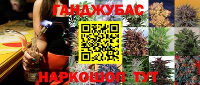прущие грибы Ярославль